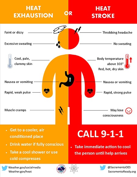 Heat Illness Infographic