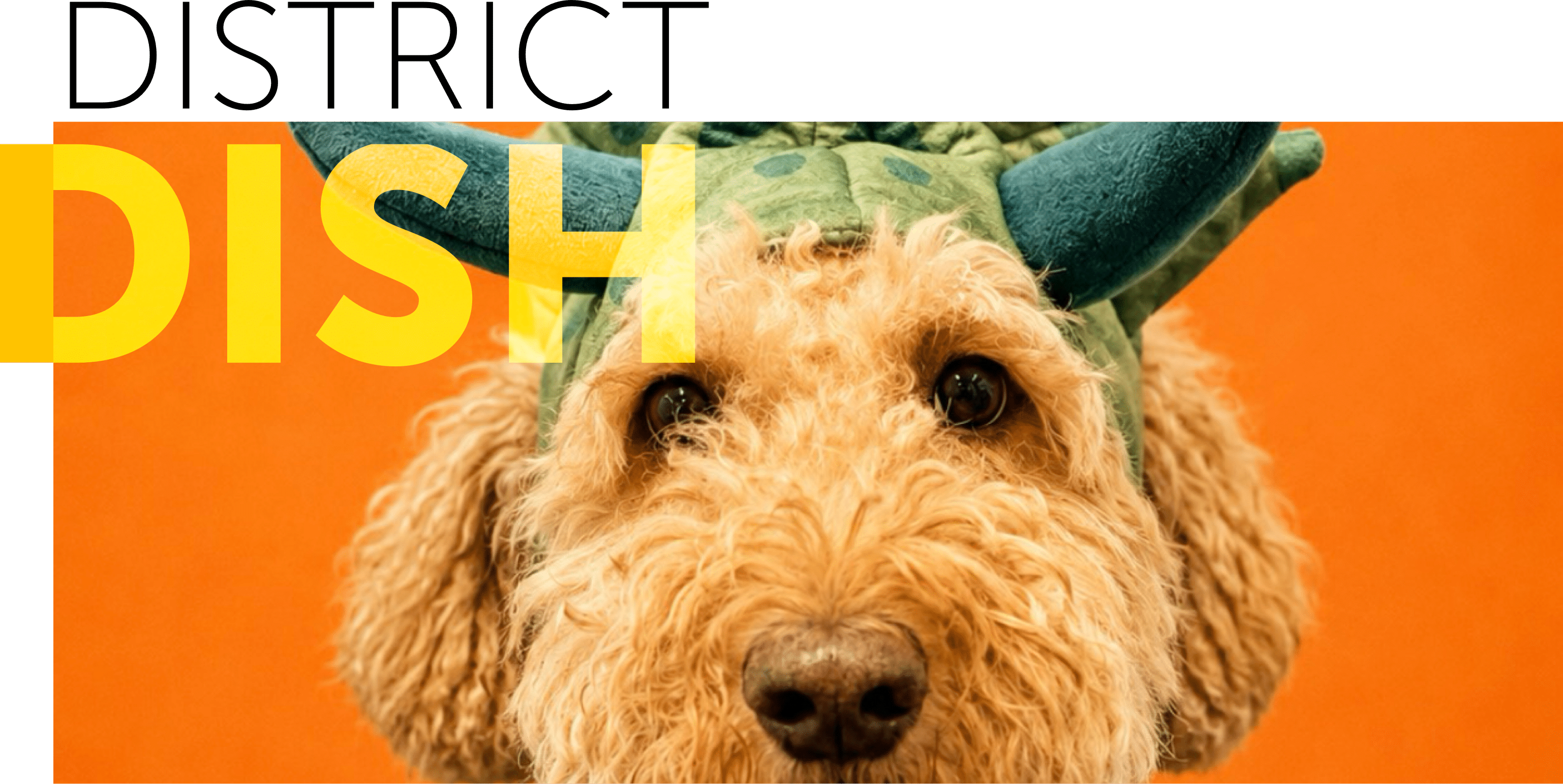 DISTRICTDISH