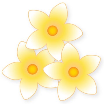 Flowers Flowers