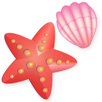 Seashell and Starfish